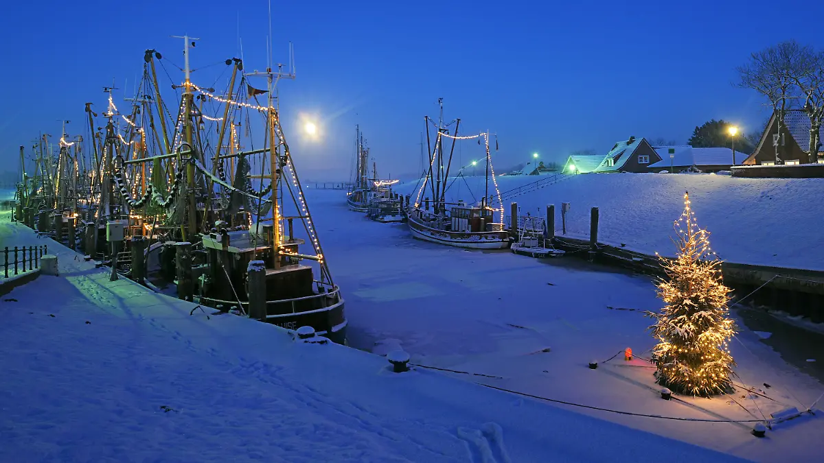 Weihnachtsbaum in Greetsiel
