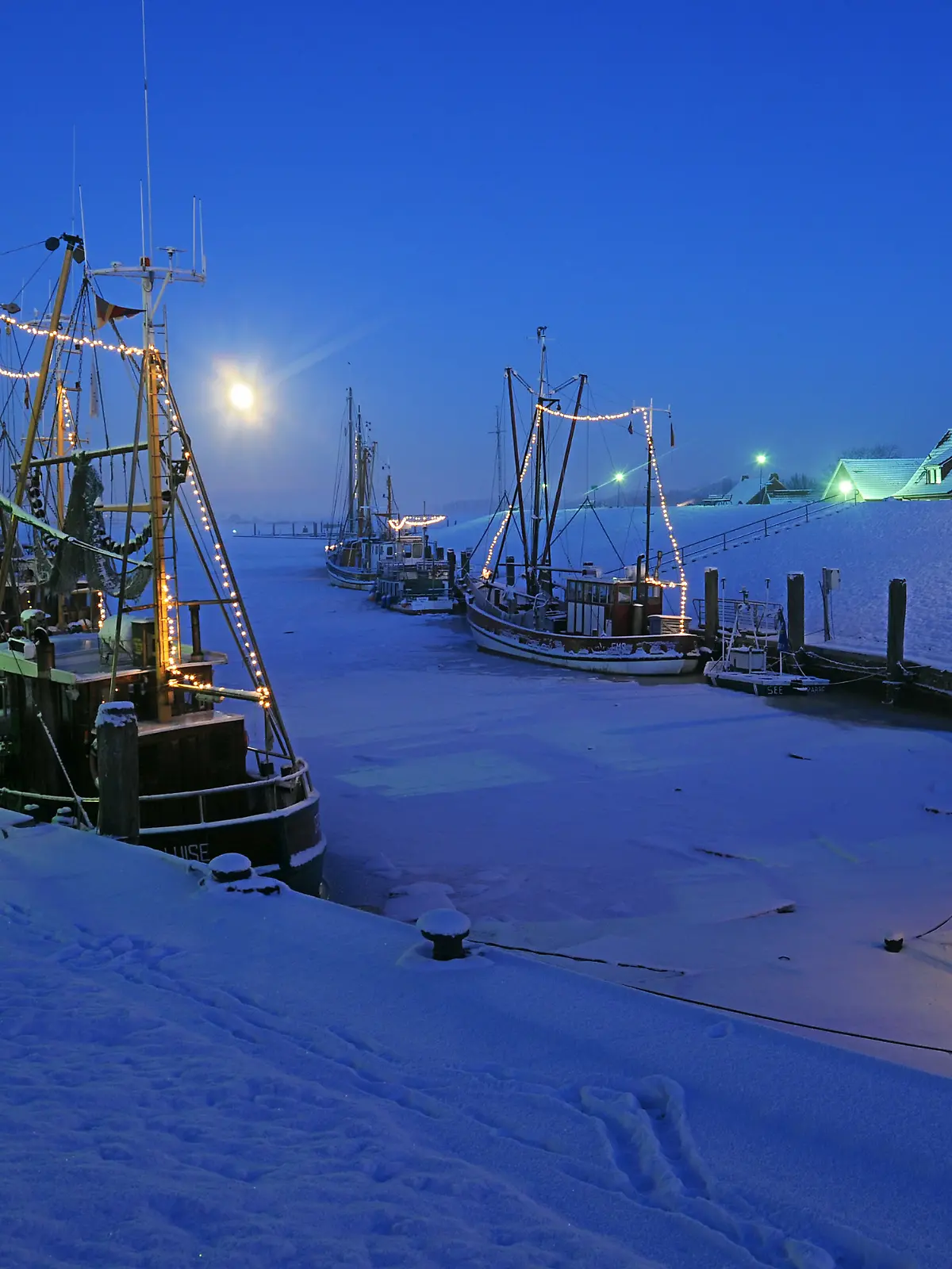Weihnachtsbaum in Greetsiel