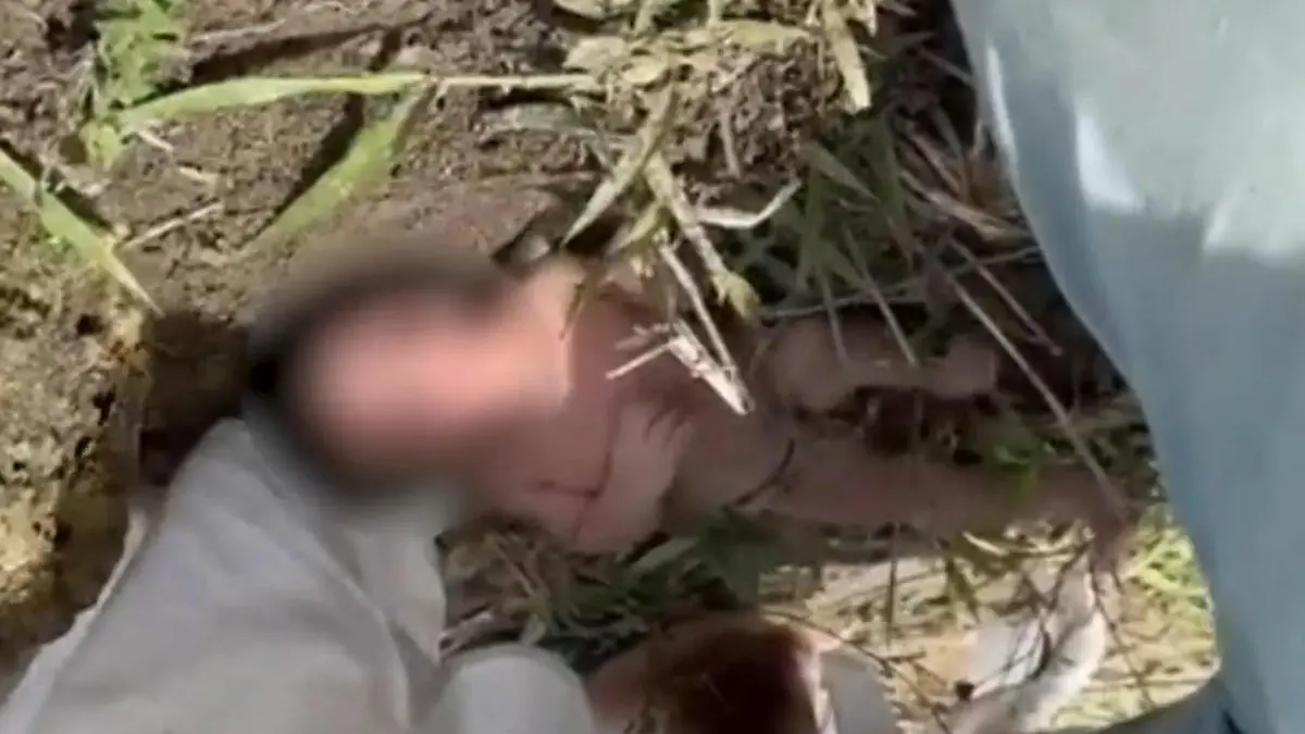 Bauern-finden-Neugeborenes-in-Grube-Kleines-M-dchen-nackt-und-mit-Nabelschnur-alleine-gelassen