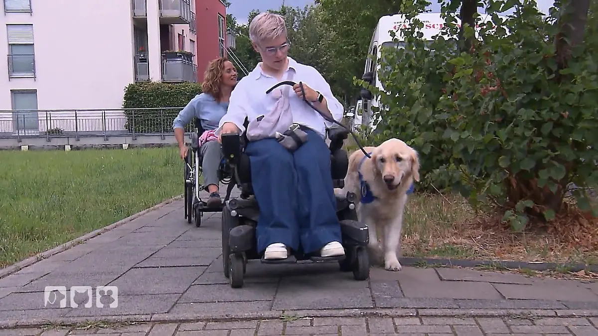 Bei diesem tollen Hund kommen Kate fast die Tränen Ein Tag im Rollstuhl