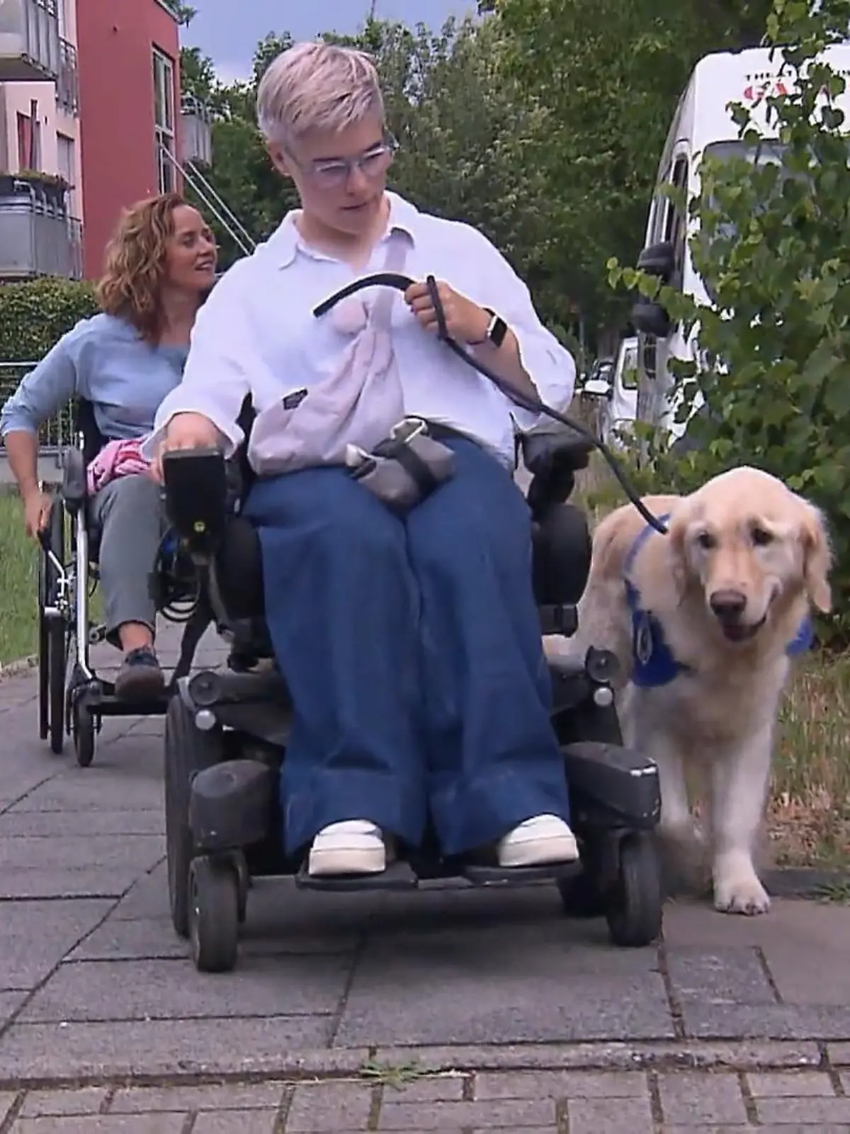 Bild zu: "Assistenzhund Aidan tut alles für sein Frauchen"