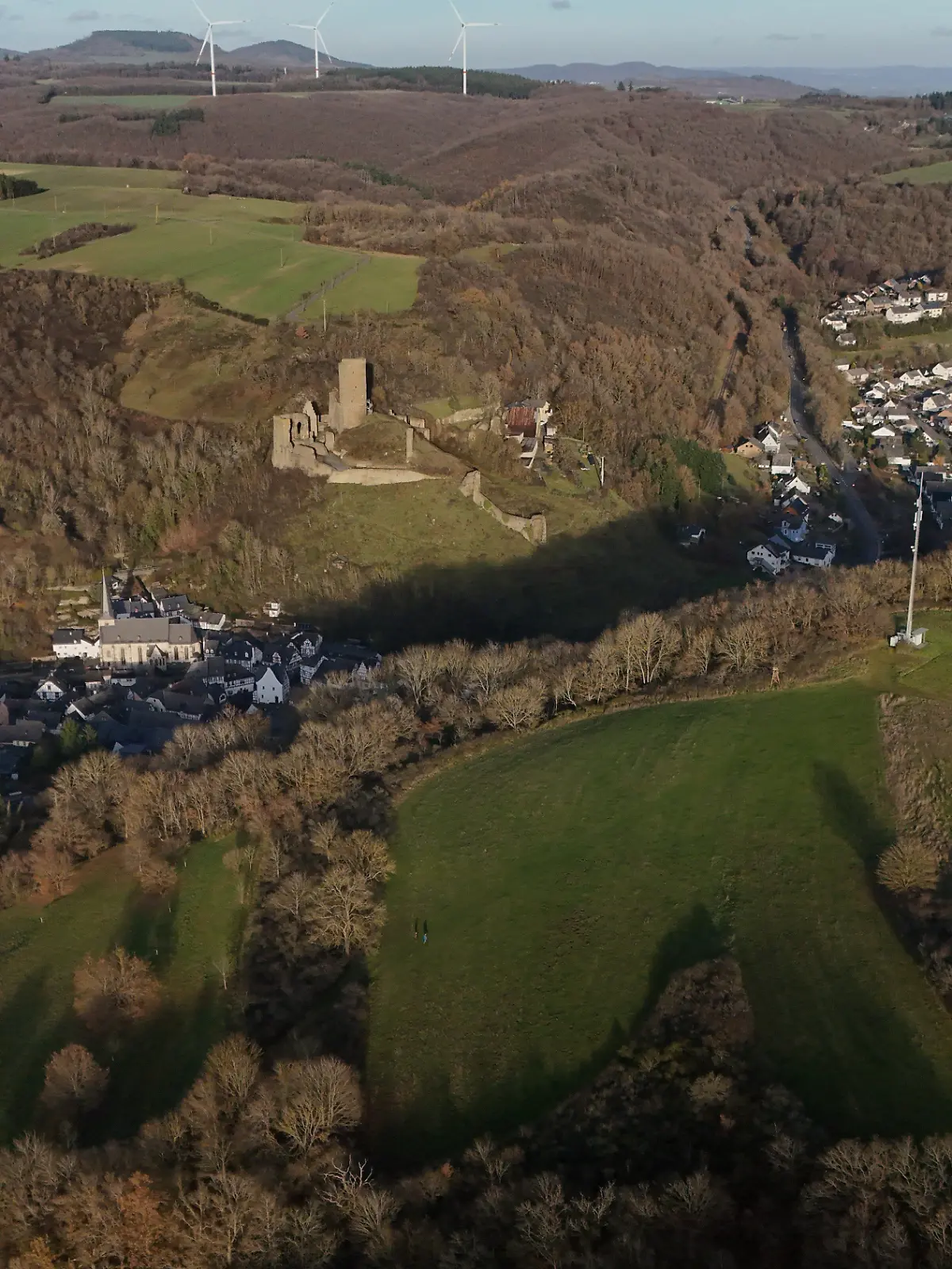 In einem Waldgebiet bei Monreal wurde die Leiche gefunden.