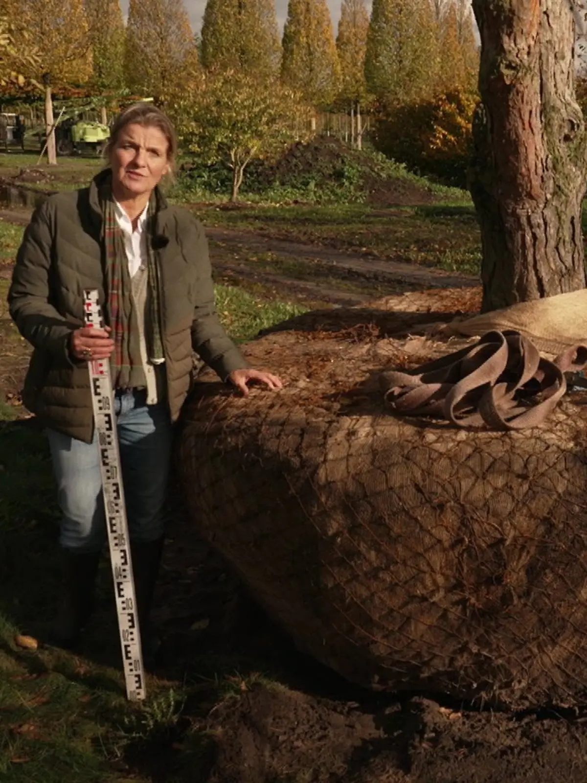 Baum-Maklerin Katharina von Ehren ist stets auf der Suche nach dem richtigen Baum