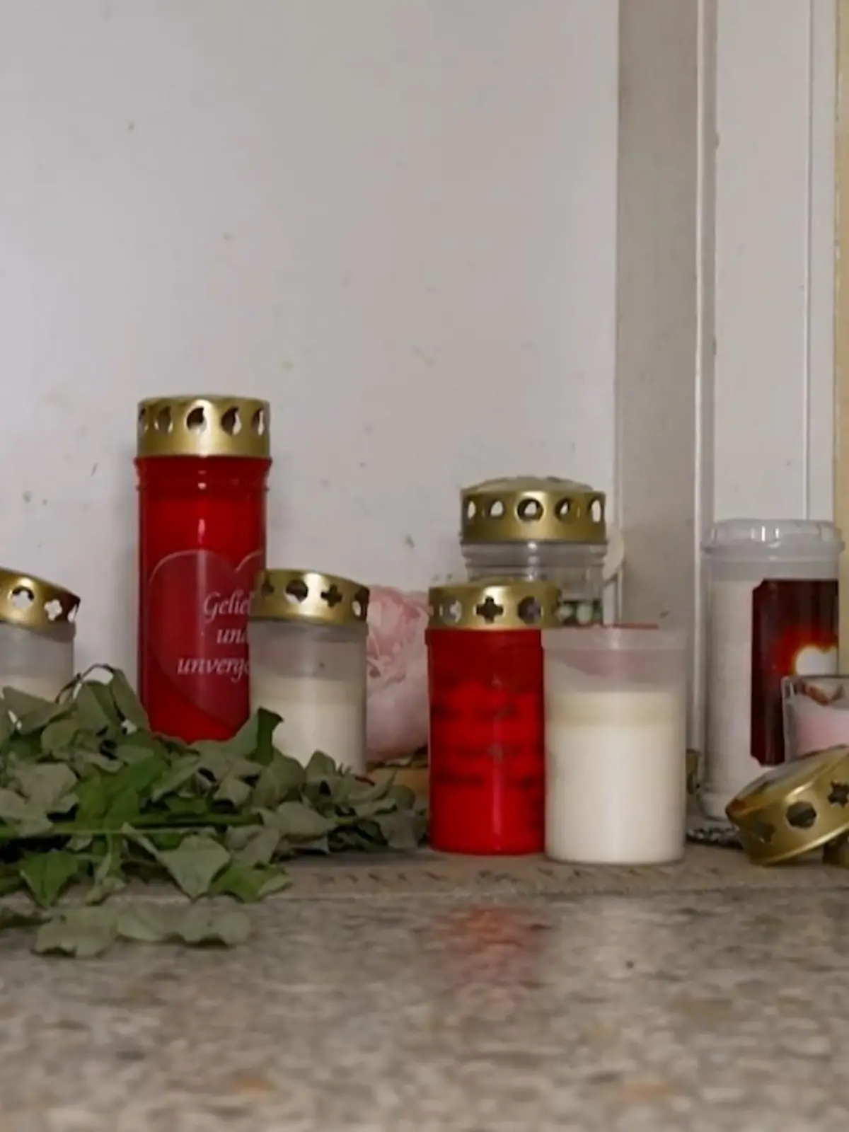 Bild zu: "Influencerin tot vergraben in Koffer im Wald gefunden"