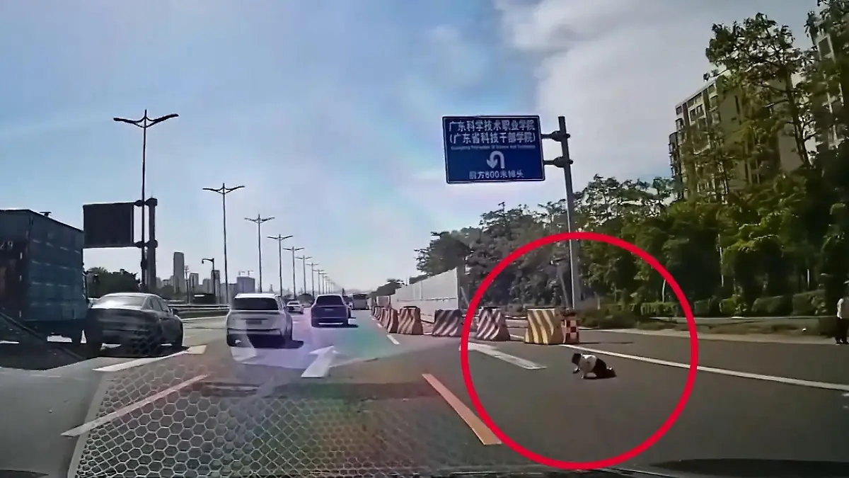 Baby krabbelt mitten auf viel befahrener Autobahn – von den Eltern keine Spur! Erschreckendes Dashcam-Video