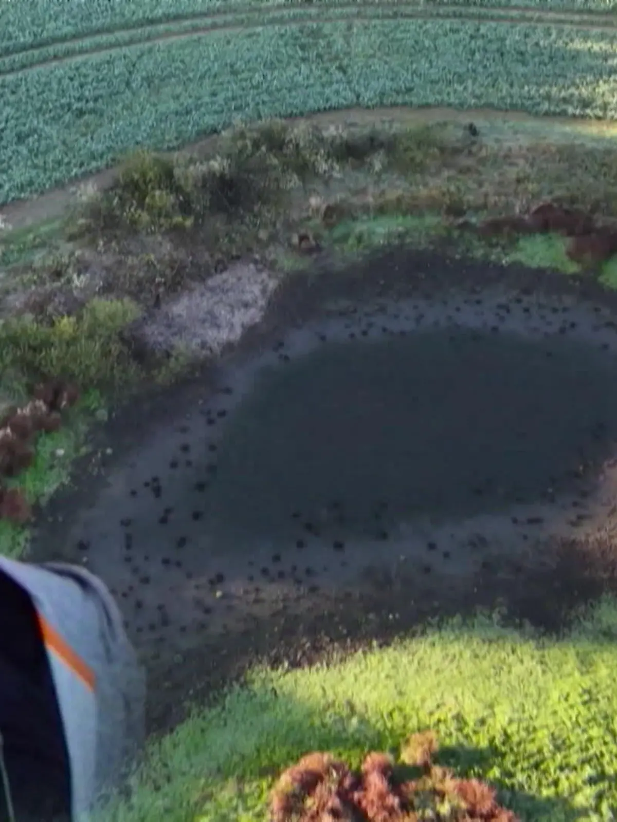 Bild zu: "Gina H. soll weitere Personen zu Fabians Leiche geführt haben"