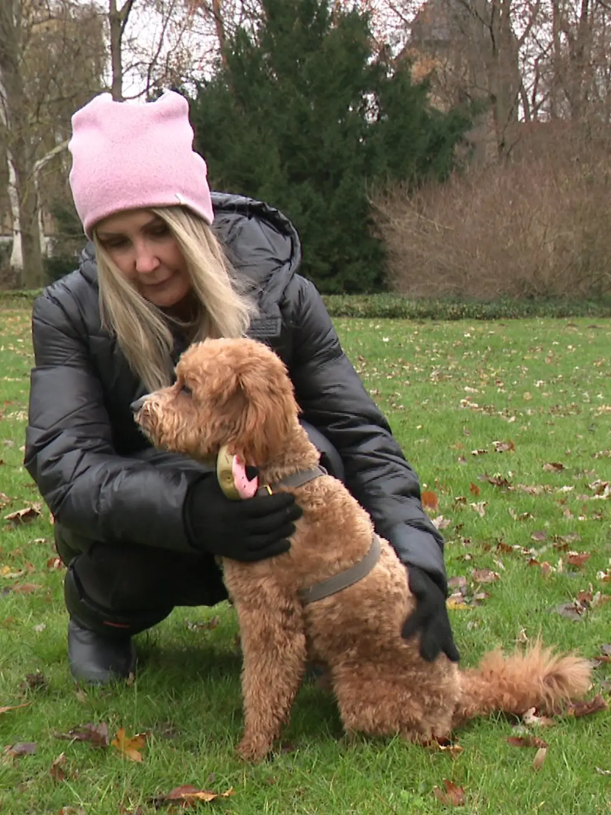 Bild zu: "Gefährliche Krankheit auf dem Vormarsch! Piko wäre fast an Hundemalaria gestorben"