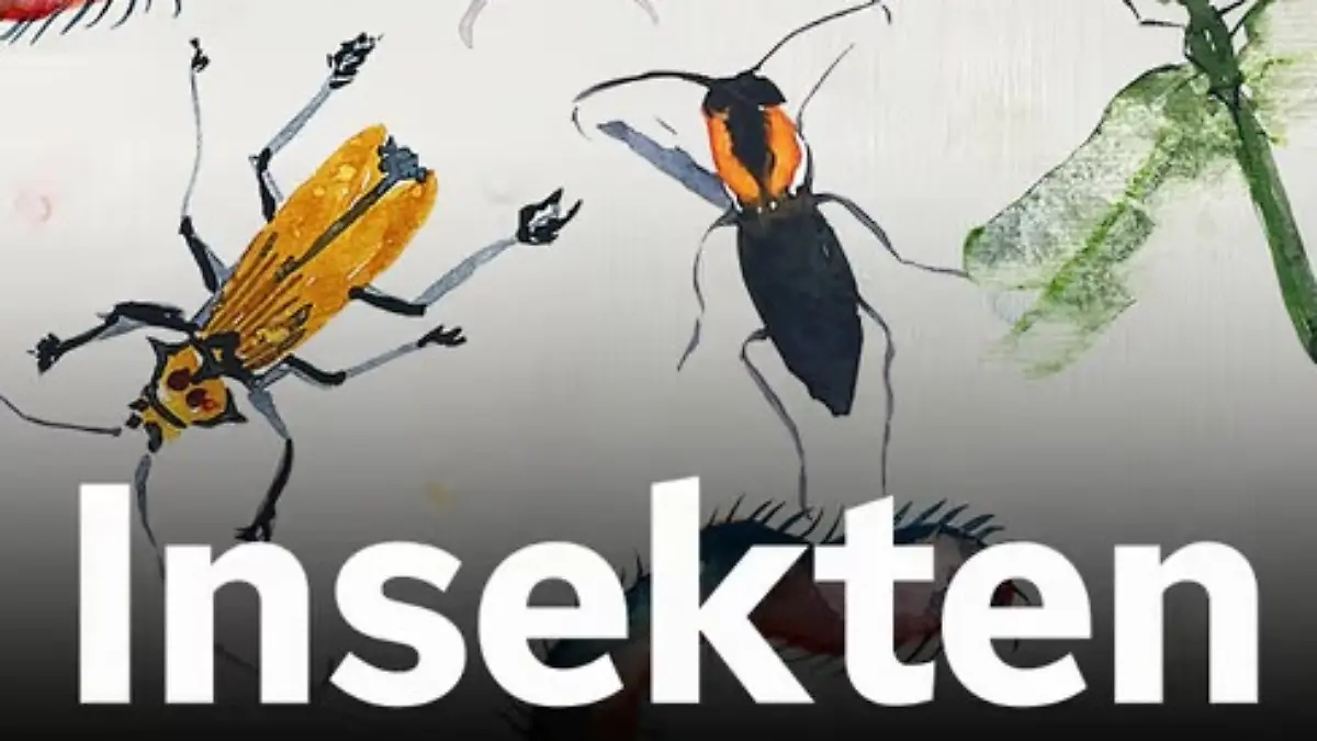 RTL+ Insekten
