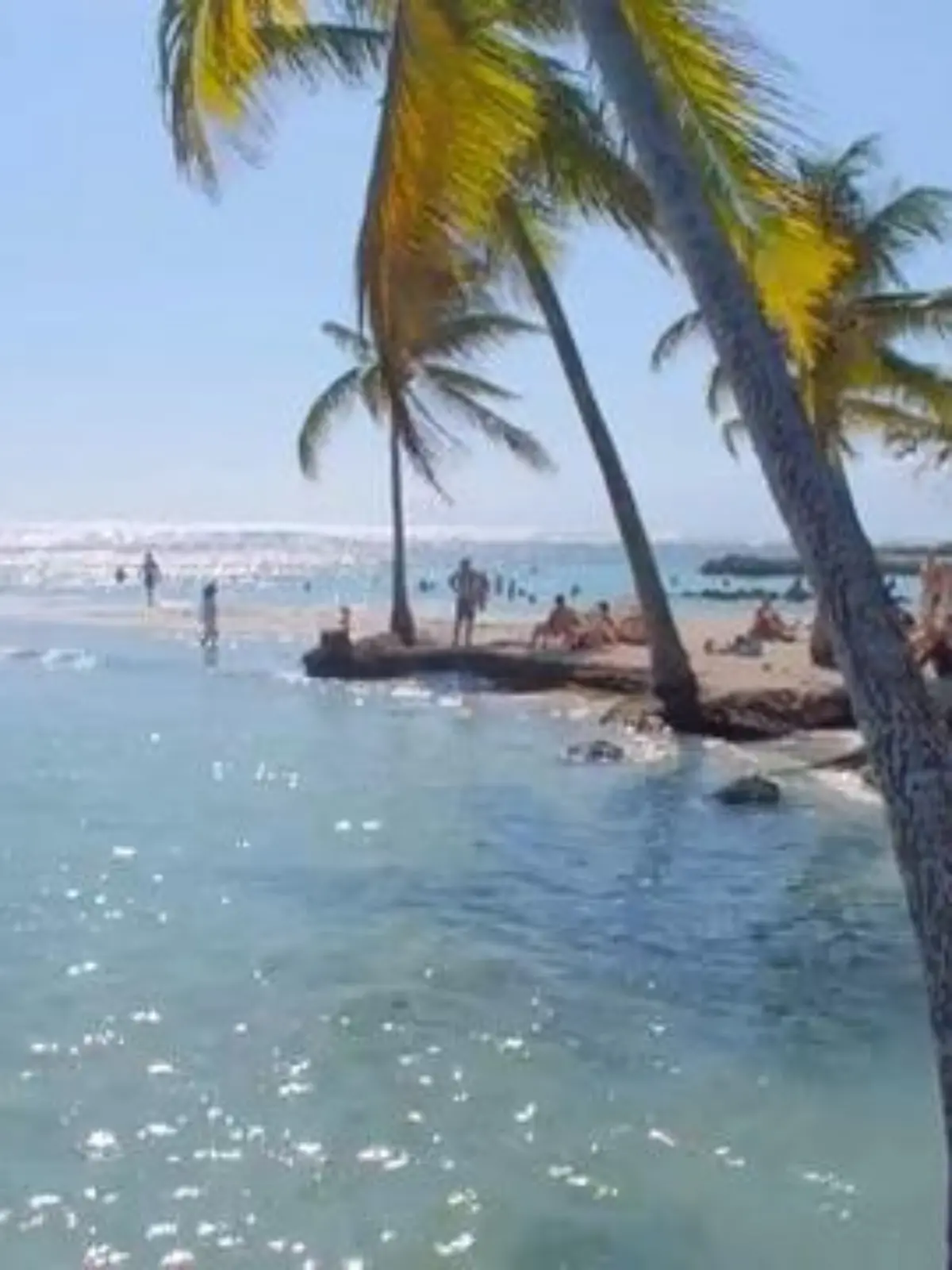 Bild zu: "Deutsche Auswanderer im Paradies"