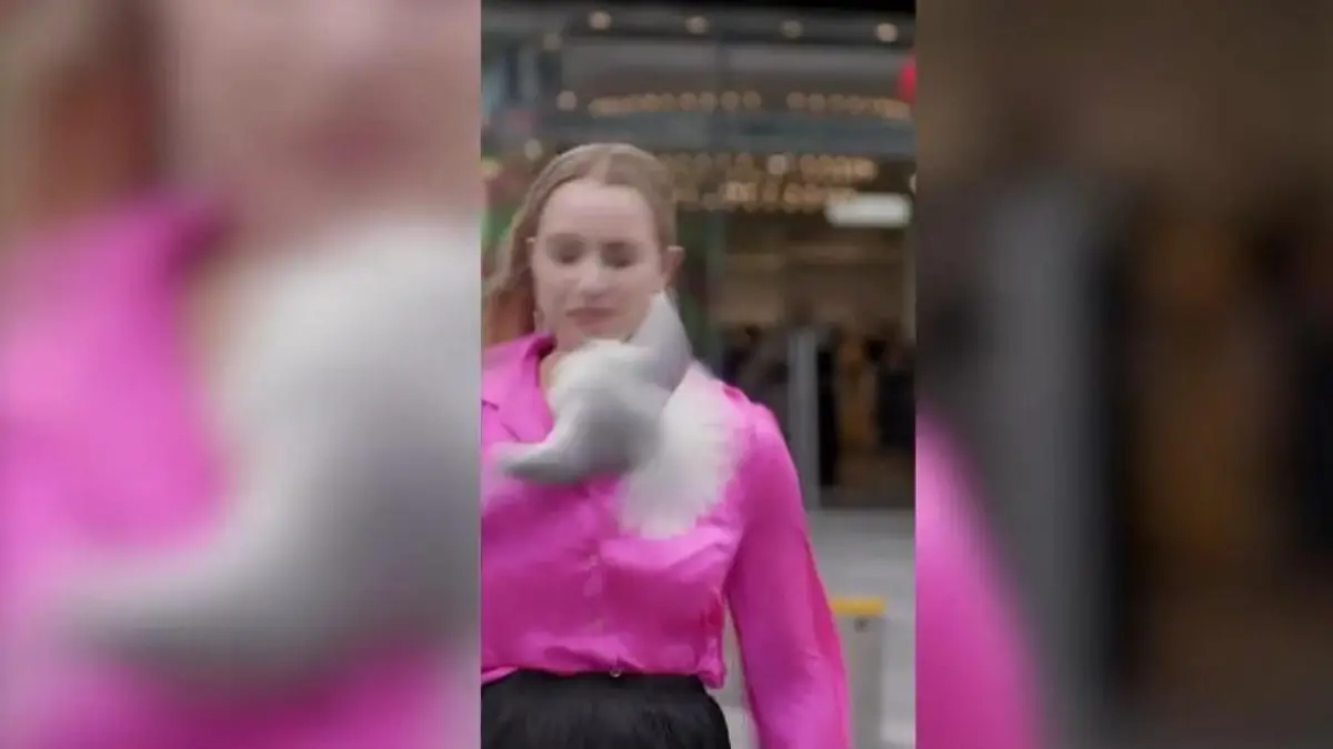 Vogel-Angriff vor laufender Kamera! Möwe stürzt sich auf TV-Reporterin Blutige Attacke mitten ins Gesicht