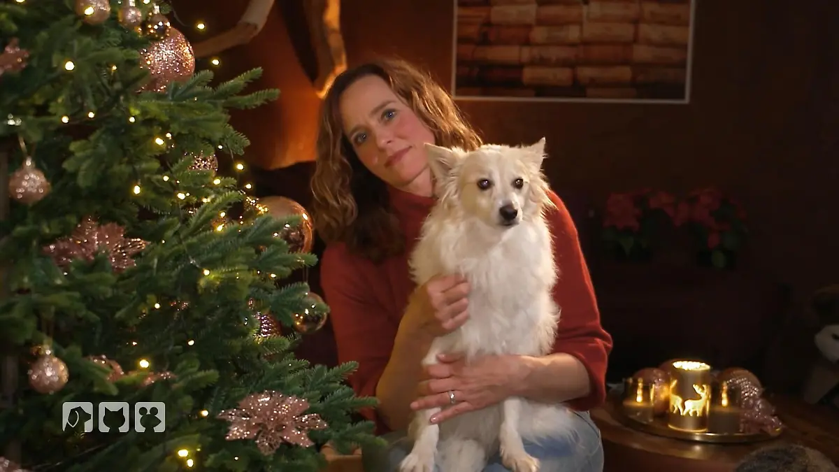 Was man an Weihnachten beachten sollte Kate teilt ihre Tipps