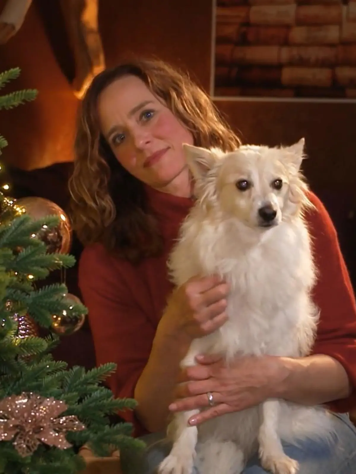 Bild zu: "Was man an Weihnachten beachten sollte"