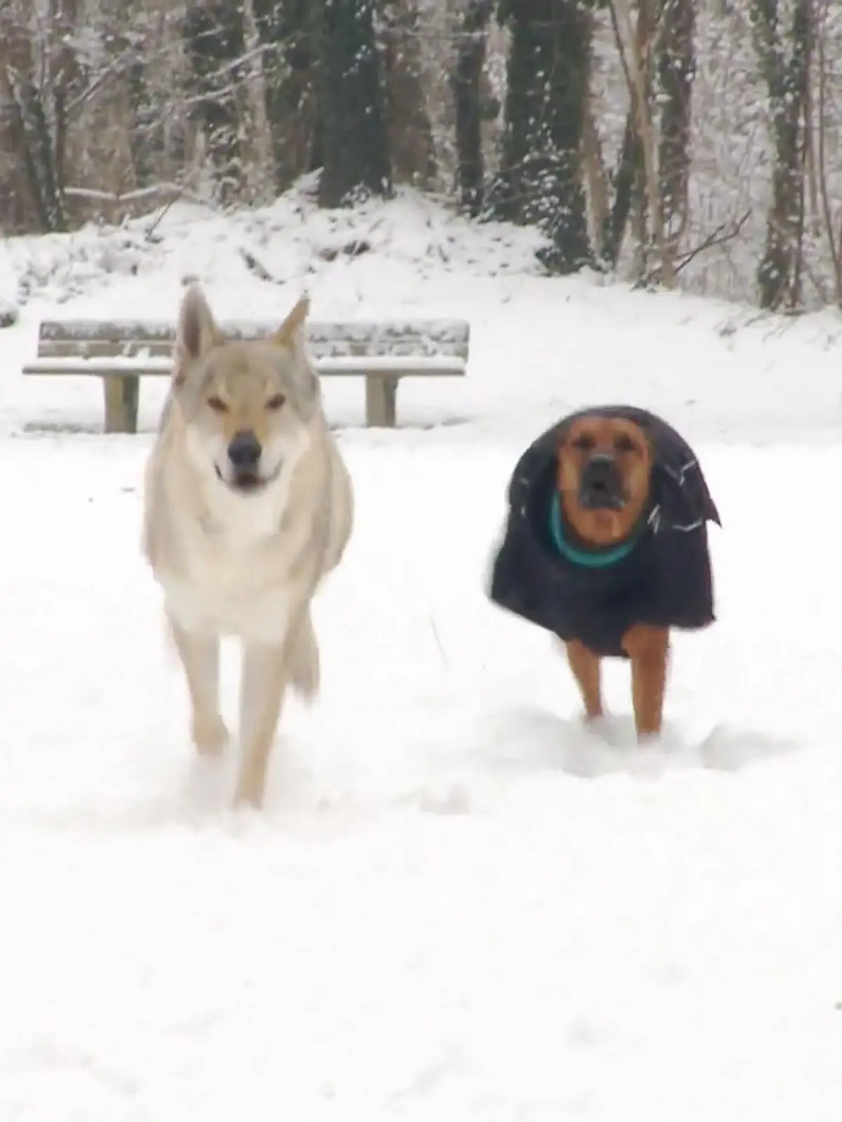 Bild zu: "Frostbeulen ade"