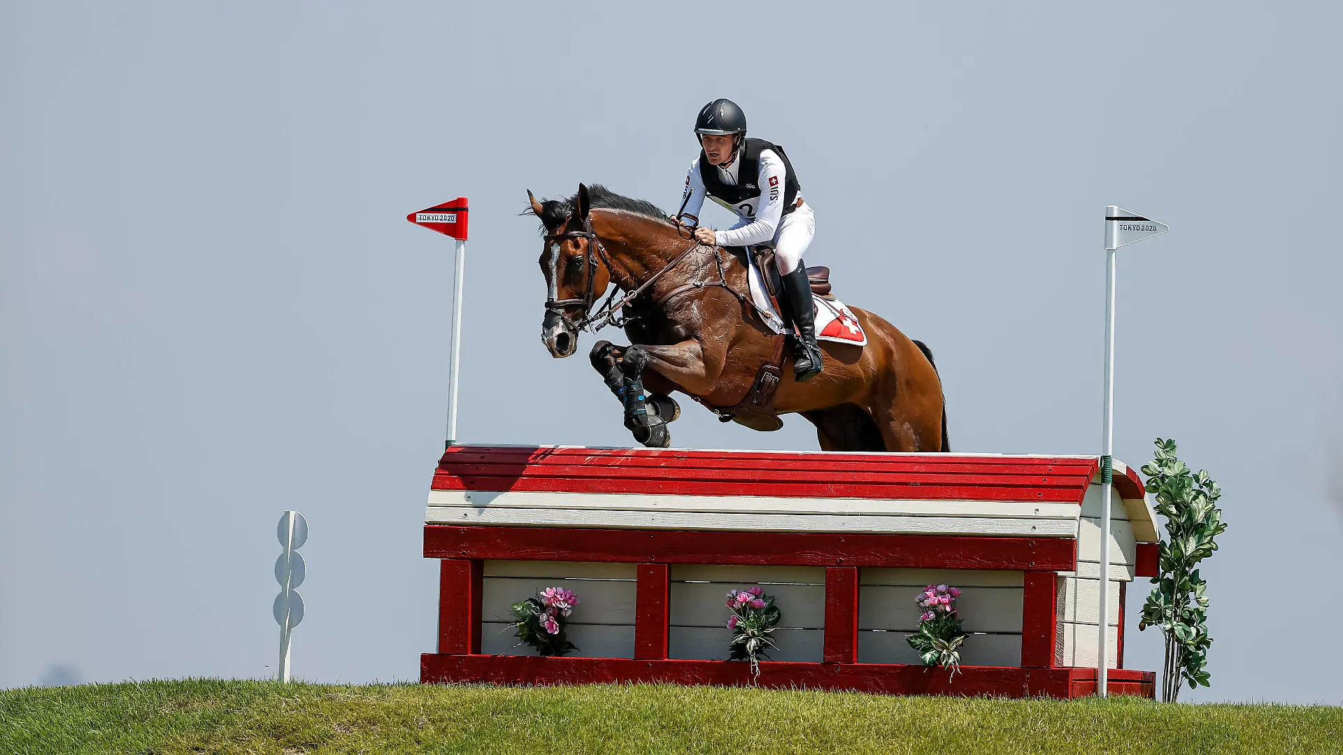 TOKYO - Olympische Spiele / Olympic Games, Olympische Spiele, Olympia, OS 2021, TOKYO - Olympische Spiele / Olympic Games 2021 GODEL Robin SUI, Jet Set Teilprüfung Gelände / Cross-Country Vielseitigkeit / Eventing Tokio, Baji Koen Sea Forest Cross-Country Course 01. August 2021 - *** TOKYO Olympic Games Olympic Games 2021, TOKYO Olympic Games Olympic Games 2021 GODEL Robin SUI , Jet Set Partial Cross Country Eventing Tokyo, Baji Koen Sea Forest Cross Country Course 01 August 2021