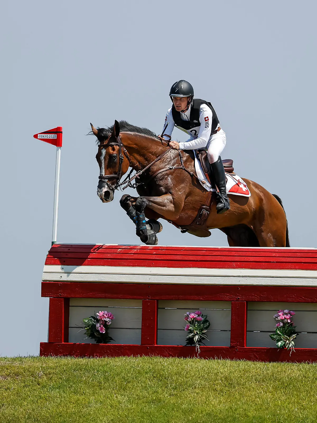  TOKYO - Olympische Spiele / Olympic Games, Olympische Spiele, Olympia, OS 2021, TOKYO - Olympische Spiele / Olympic Games 2021 GODEL Robin SUI, Jet Set Teilprüfung Gelände / Cross-Country Vielseitigkeit / Eventing Tokio, Baji Koen Sea Forest Cross-Country Course 01. August 2021 - *** TOKYO Olympic Games Olympic Games 2021, TOKYO Olympic Games Olympic Games 2021 GODEL Robin SUI , Jet Set Partial Cross Country Eventing Tokyo, Baji Koen Sea Forest Cross Country Course 01 August 2021
