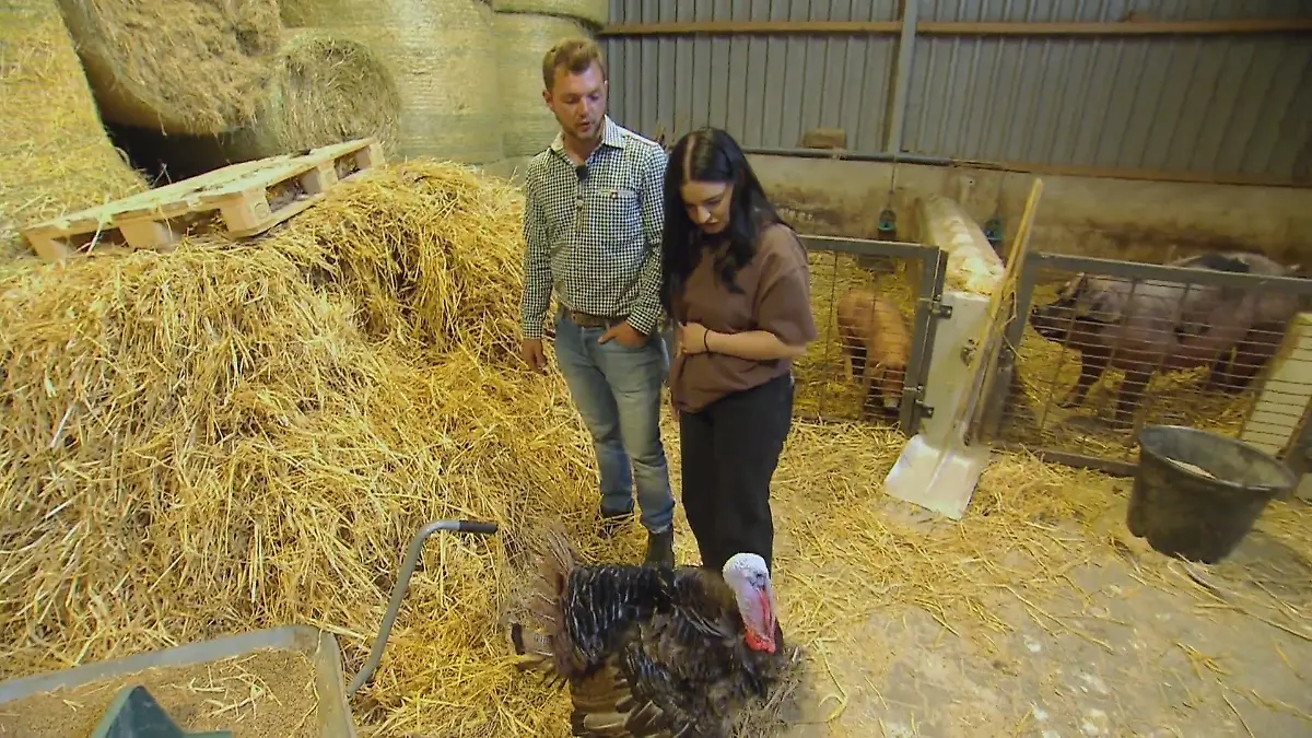 Valentina lernt Michis Tiere kennen Schwein, Pute & Co.