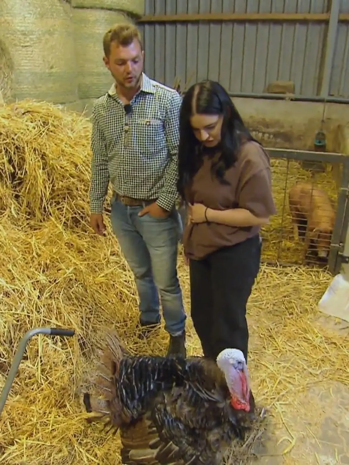 Bild zu: "Valentina lernt Michis Tiere kennen"