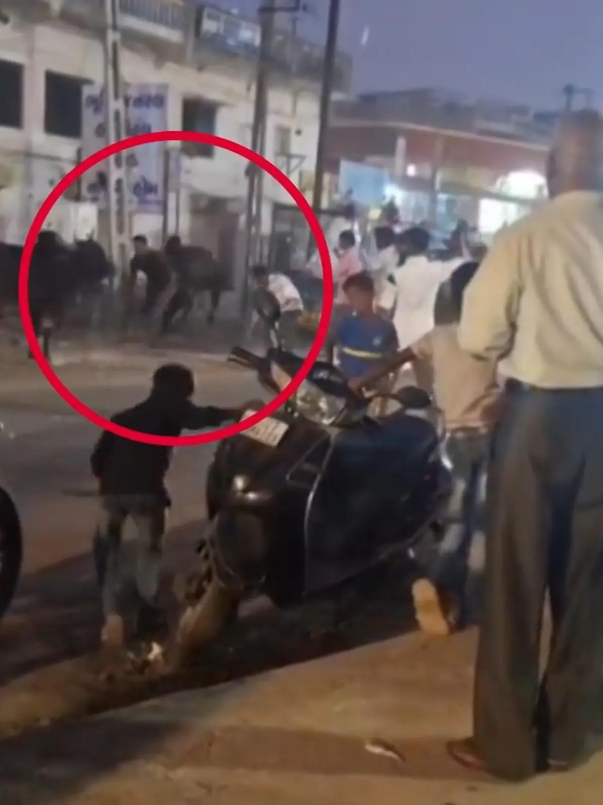 Bild zu: "Mann will Stier-Streit schlichten – dann wird er durch die Luft geschleudert"