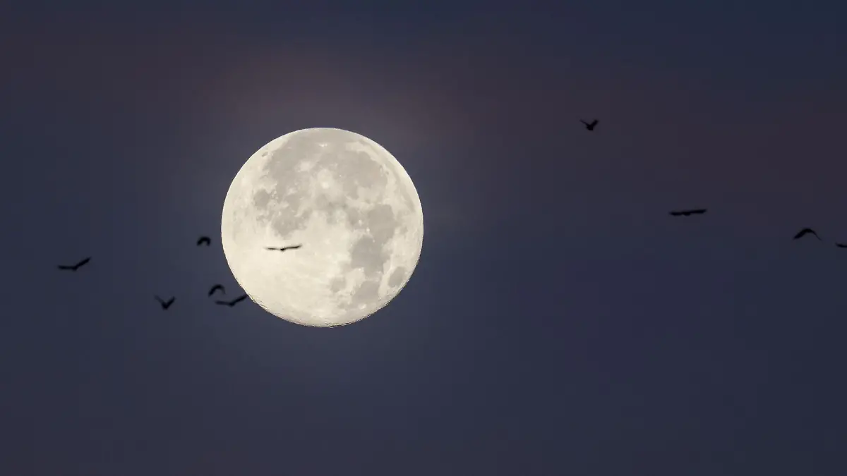 Der letzte Vollmond des Jahres wird auch «Cold Moon» oder «Julmond» genannt. (Archivbild)