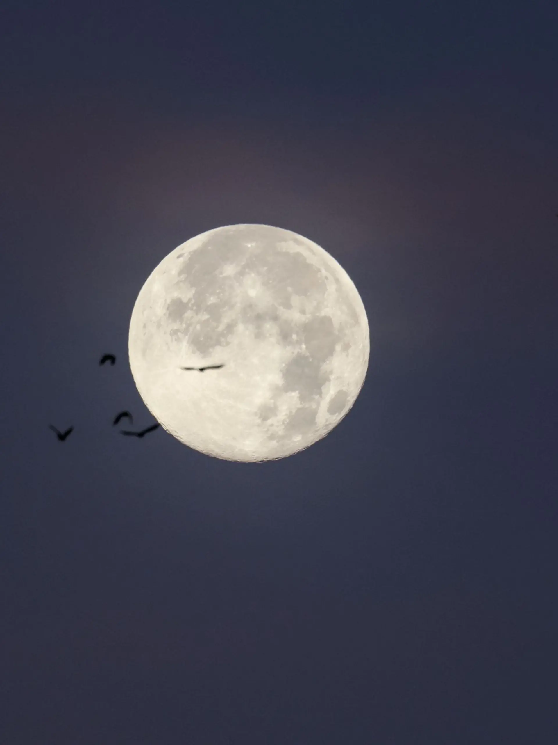 Bild zu: "Schlecht geschlafen wegen Vollmond? Das ist dran am Mond-Mythos"