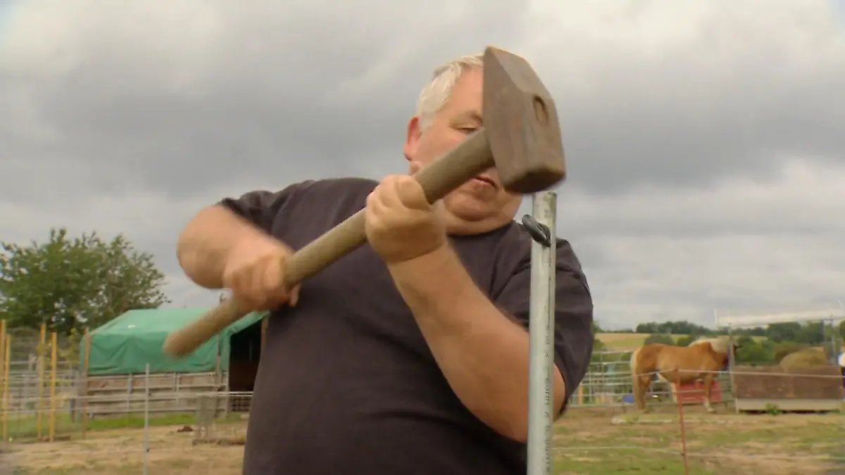 Simone testet Franks Schlagkraft Wie schlägt er sich?