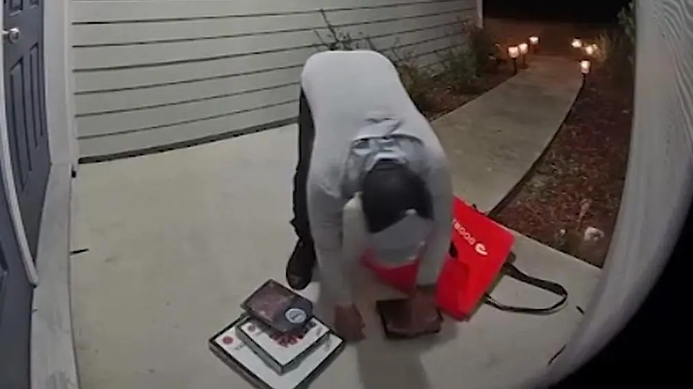 Florida-Ekel-Aktion-von-Lieferdienst-Familie-berf-hrt-ihn-dank-T-rkamera