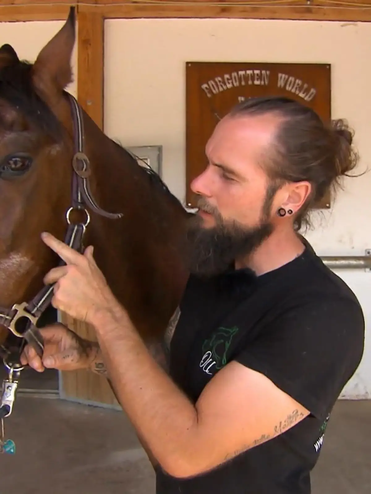 Bild zu: "Gesundheitscheck bei Stute Flamenco"