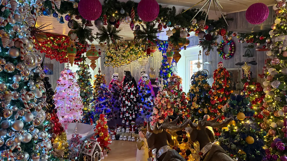 621 geschmückte Weihnachtsbäume auf 180 Quadratmetern: Der Rekord ist wieder geknackt!