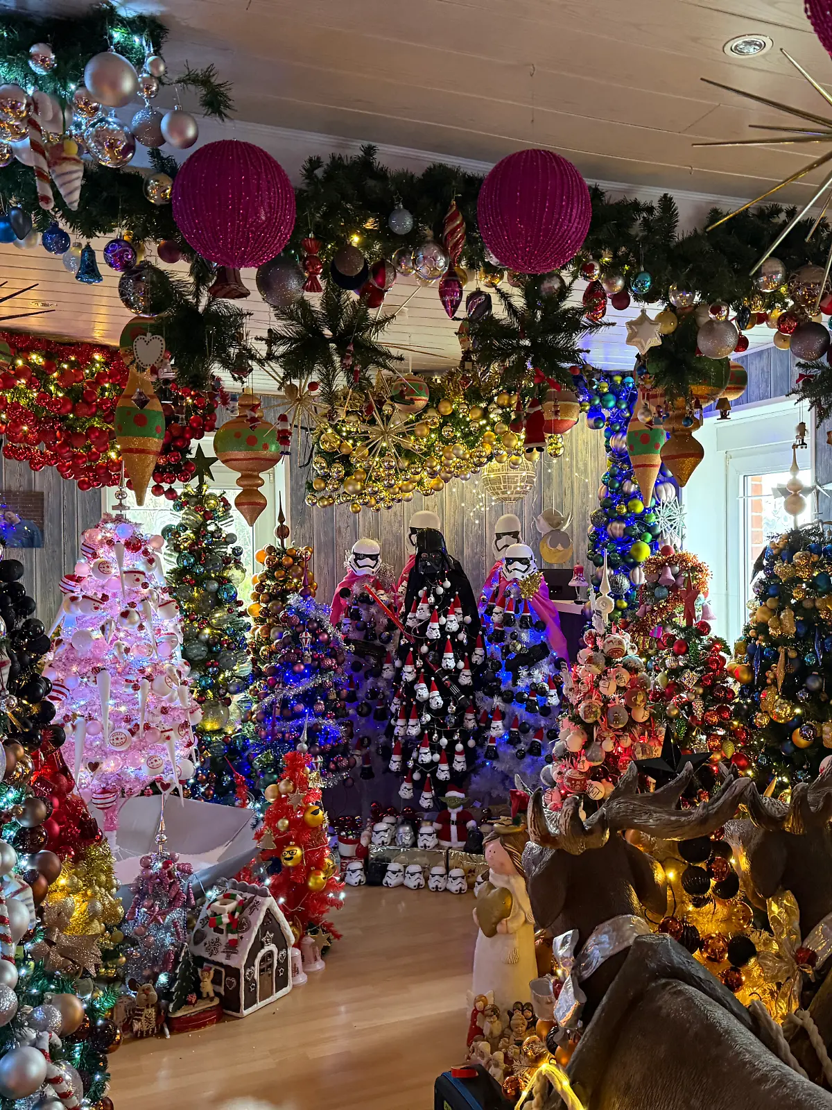 621 geschmückte Weihnachtsbäume auf 180 Quadratmetern: Der Rekord ist wieder geknackt!