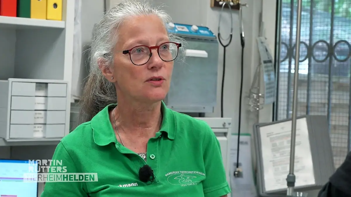 Wenn Tierschutz ans Herz geht Auch bei Profis