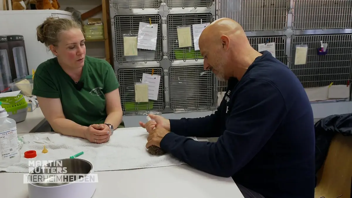 So intensiv ist die Arbeit im Wildtierkindergarten Detlef als Hasenpapa