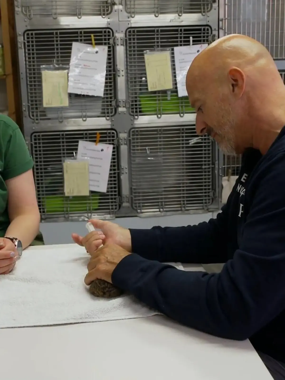 Bild zu: "So intensiv ist die Arbeit im Wildtierkindergarten"