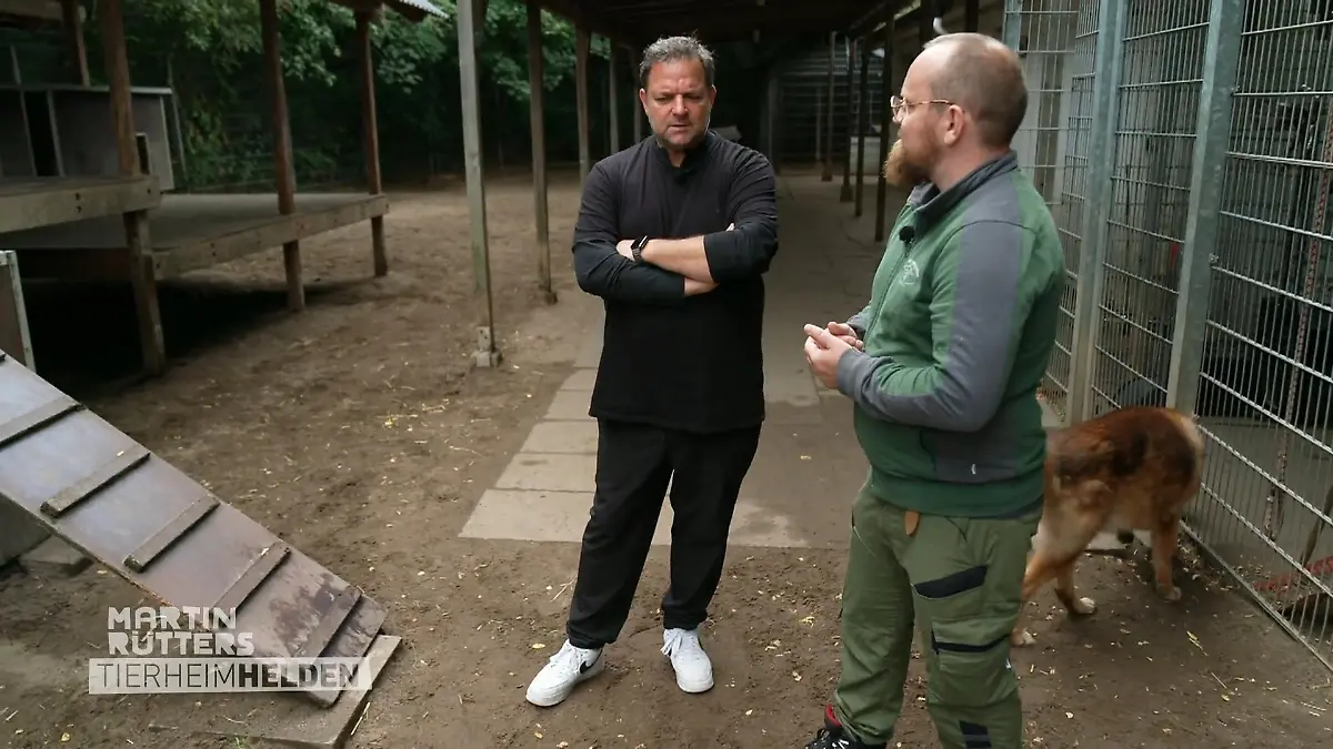 Martins Besuch bei Hamburgs Listenhunden Schwere Chancen