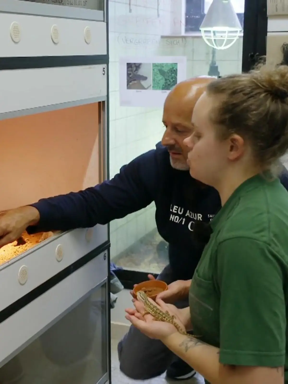 Bild zu: "Detlef bei den Bartagamen zu Gast"