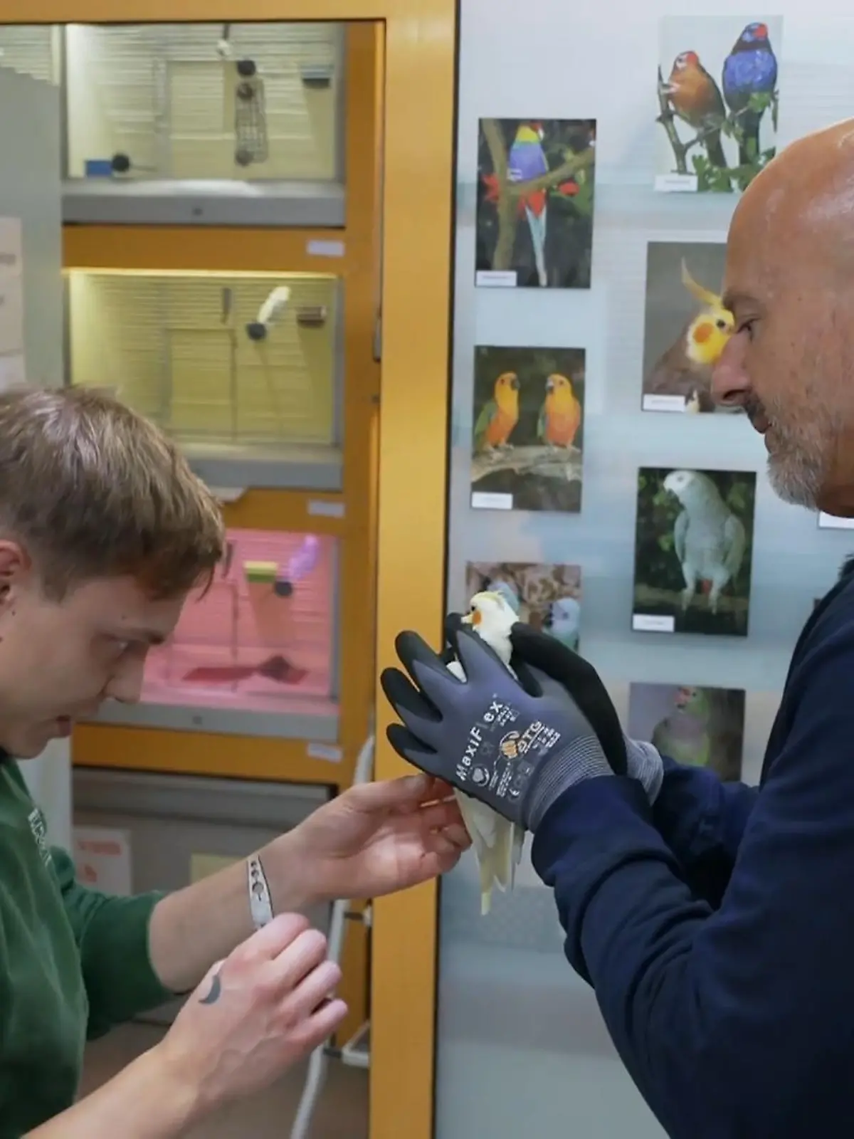 Bild zu: "Detlef im Papageienhaus"