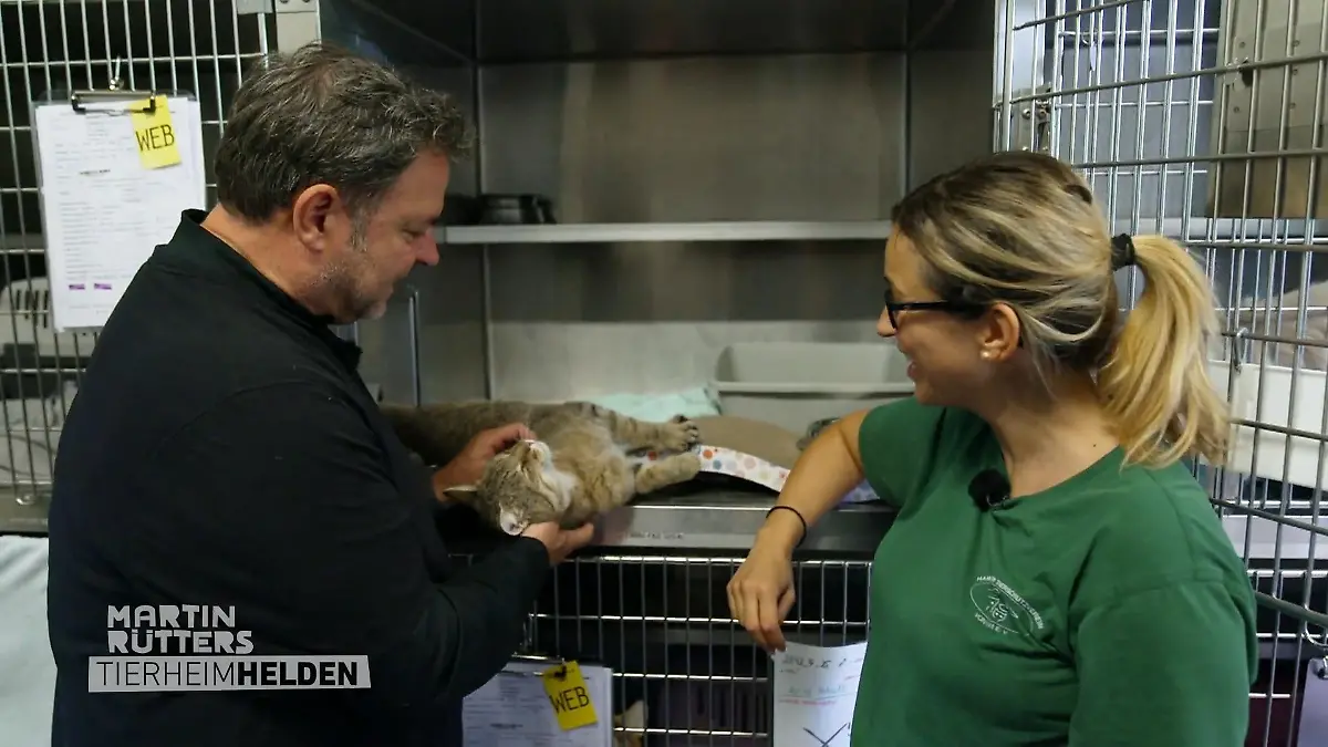Kuschelalarm im Katzenhaus Martin Rütter zeigt Herz