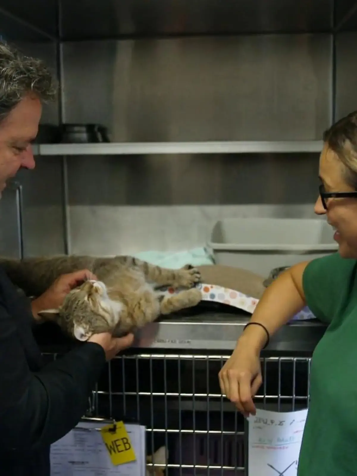 Bild zu: "Kuschelalarm im Katzenhaus"