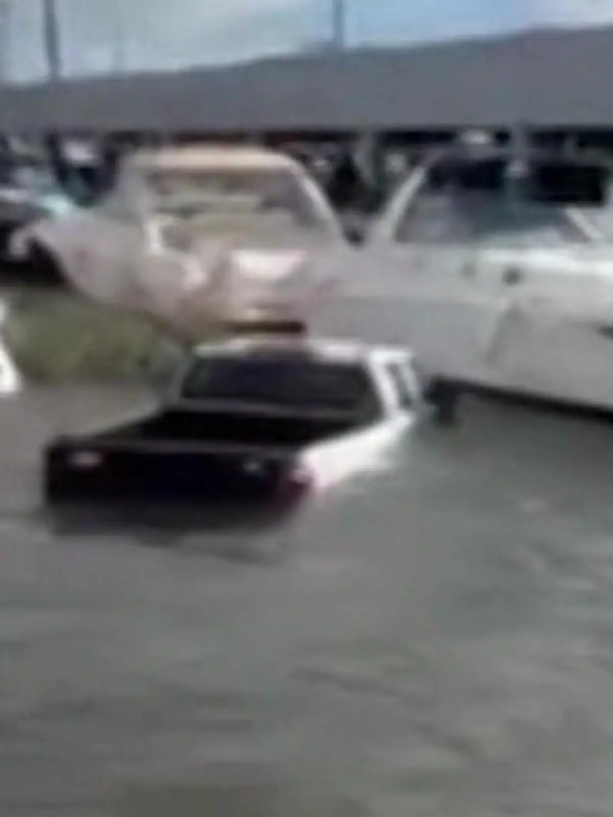 Bild zu: "Truck rast in Fluss! Auto sinkt sekundenschnell – Müllmann handelt sofort"