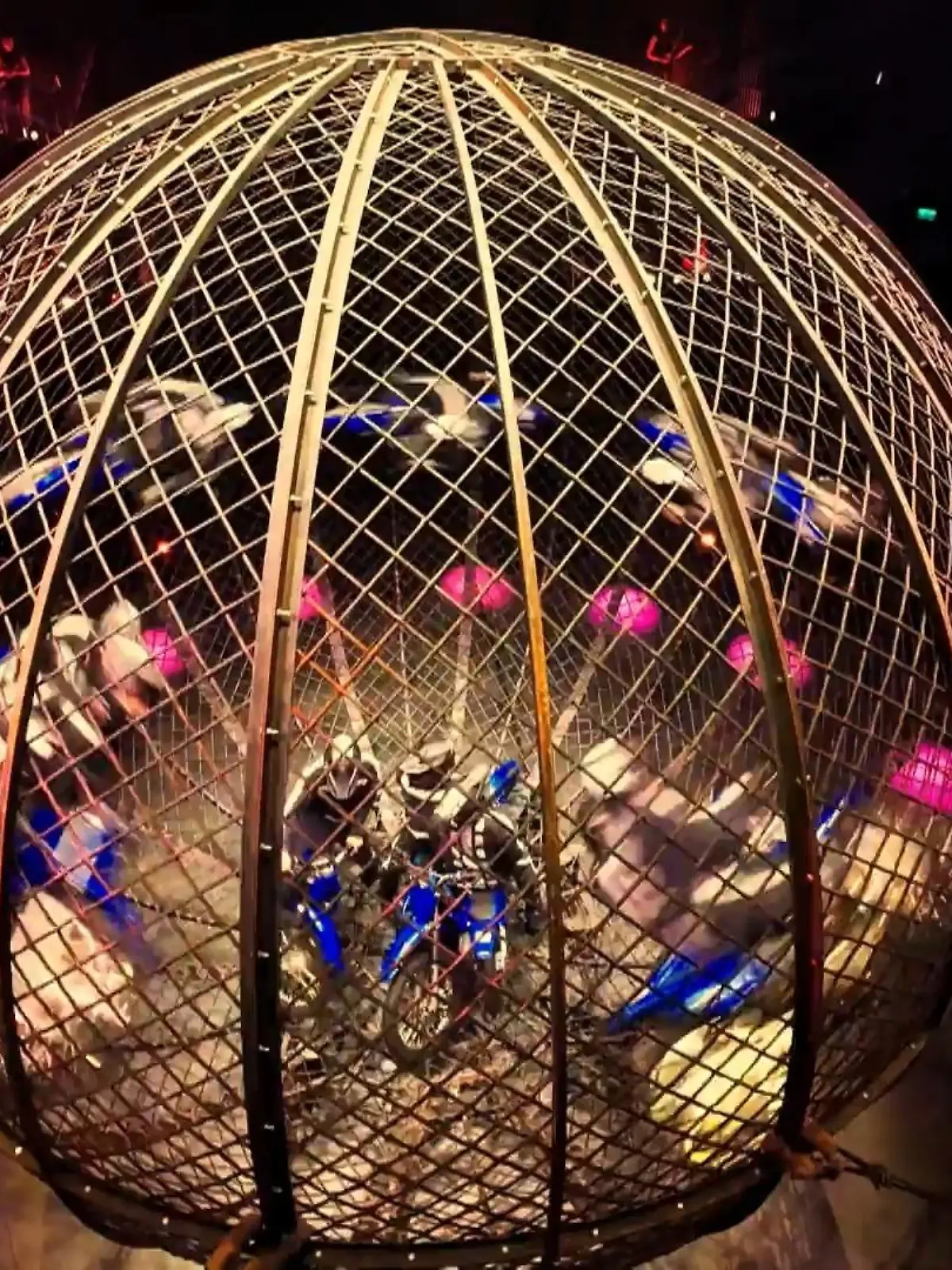 Bild zu: "„Flic Flac“-Weihnachtsshow in Dortmund"