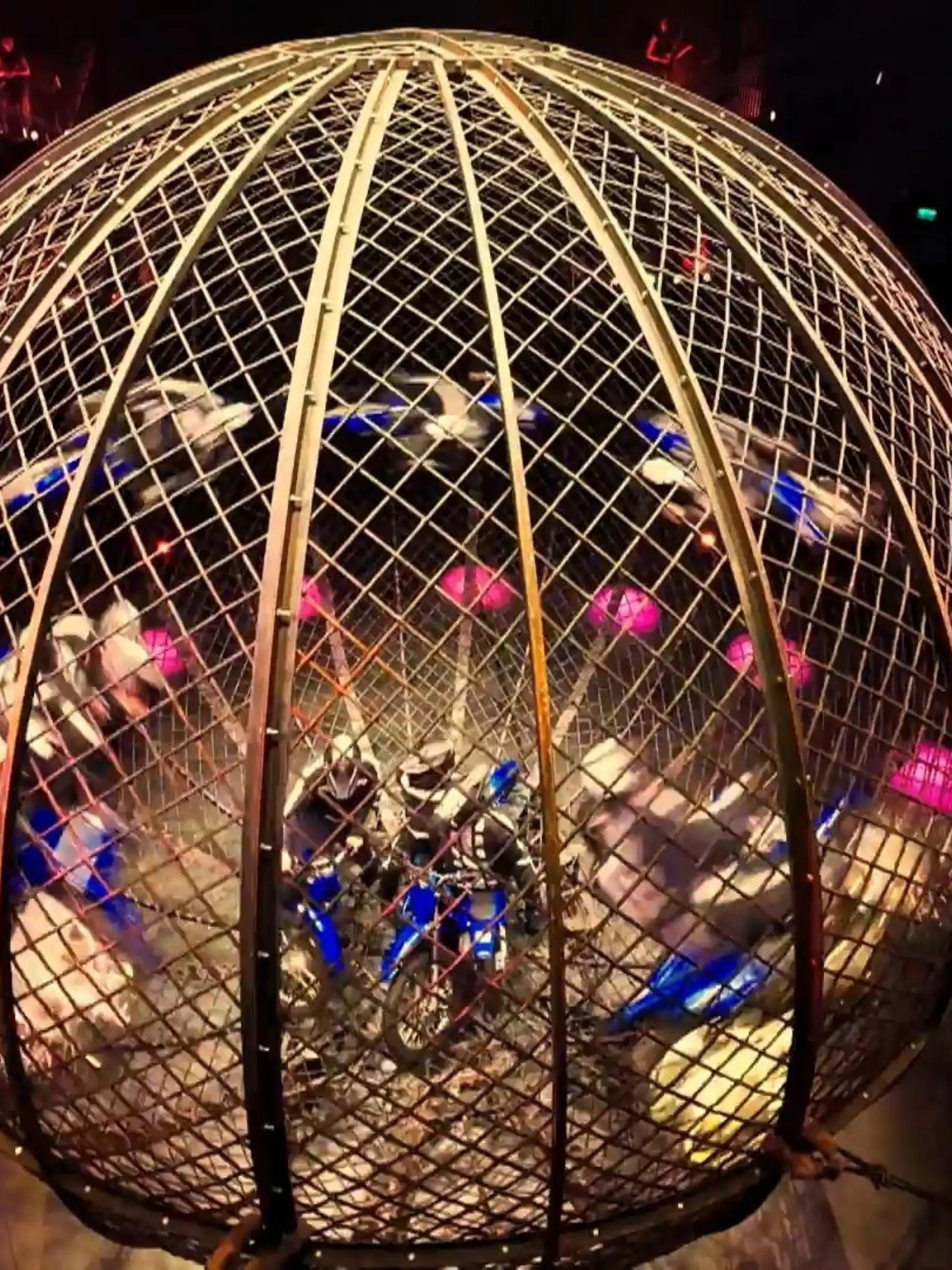 Bild zu: "„Flic Flac“-Weihnachtsshow in Dortmund"