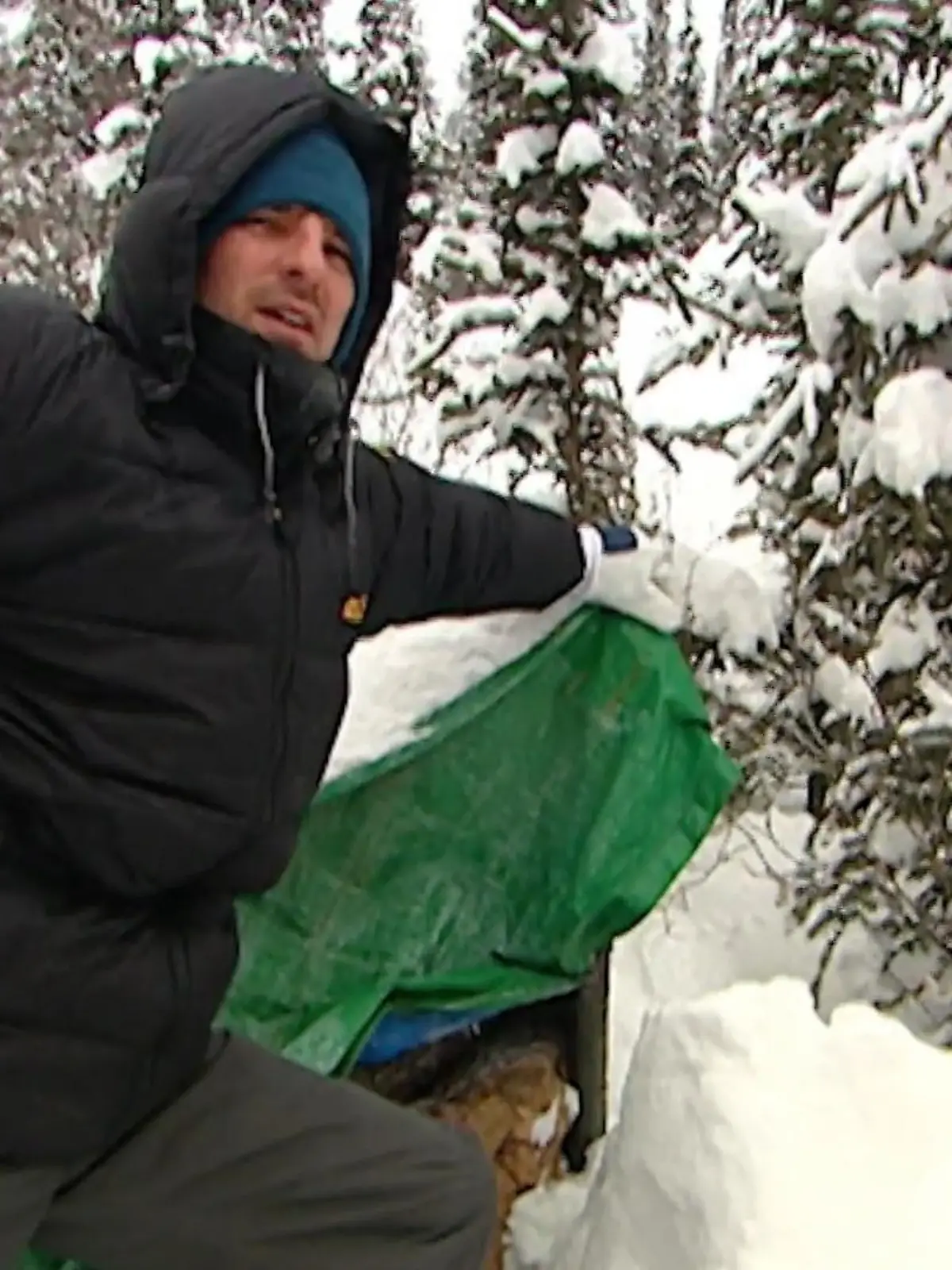 Bild zu: "Das Leben in der Wildnis ist kein Zuckerschlecken"