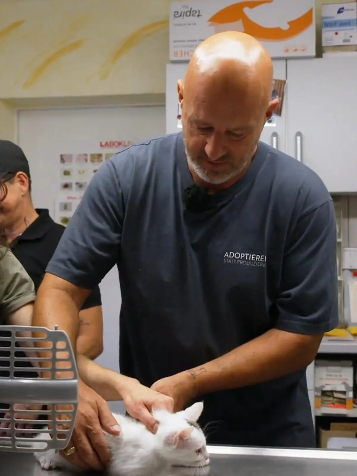 Bild zu: "Augen zu, Pfoten halten: Detlef begleitet die Katzen beim Chippen"