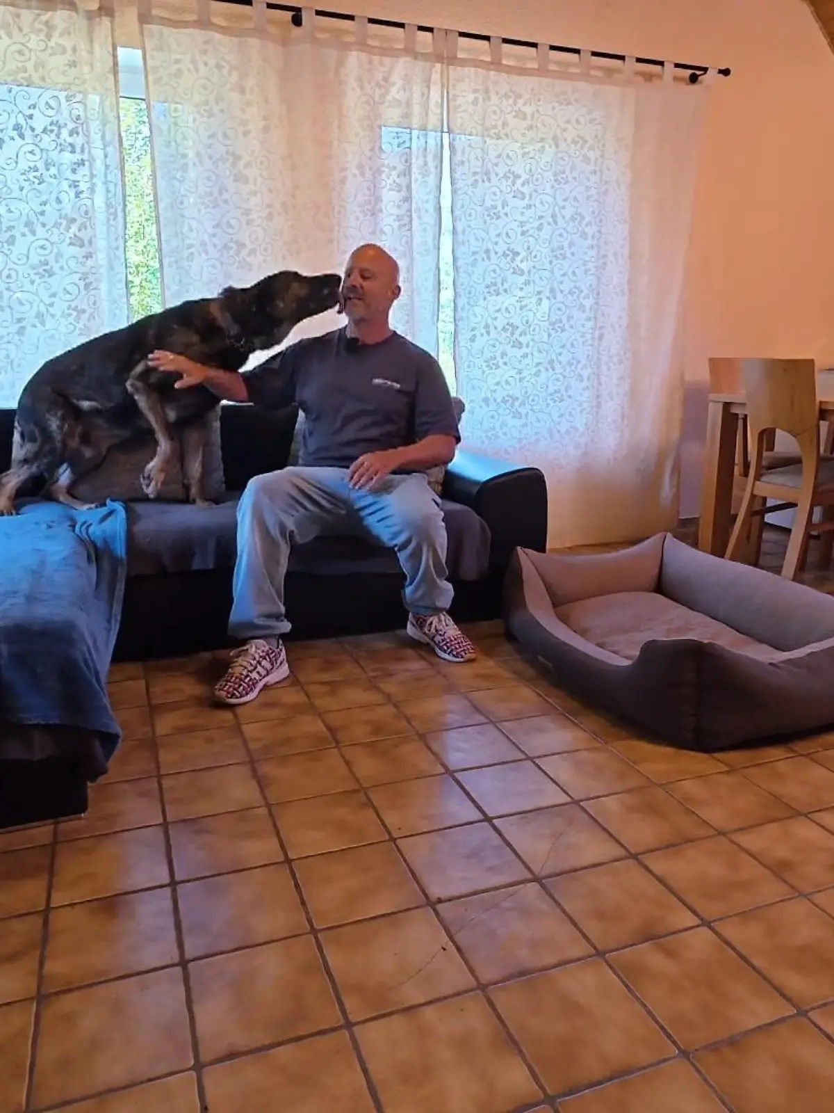 Bild zu: "Probe-Wohnen in der Tierheimgästewohnung"