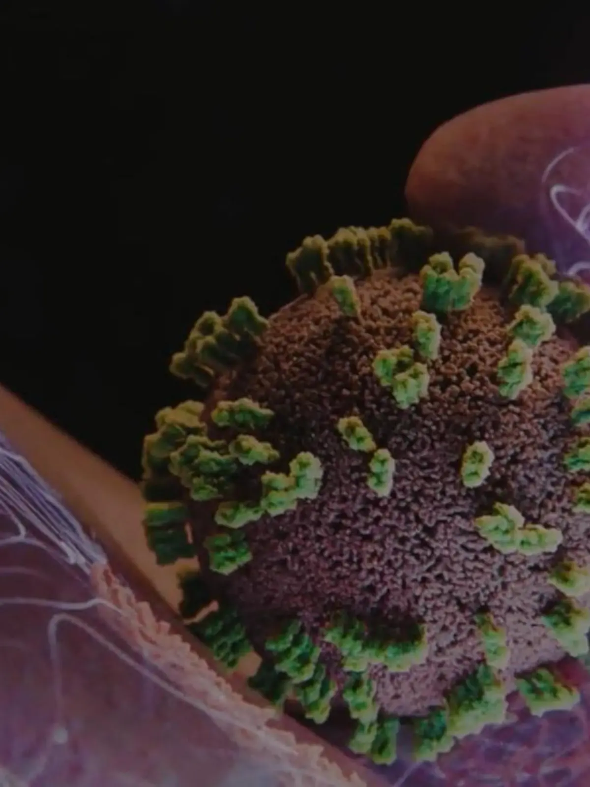 Bild zu: "So dringen Grippeviren in uns ein – DIESE Erkenntnis überrascht!"