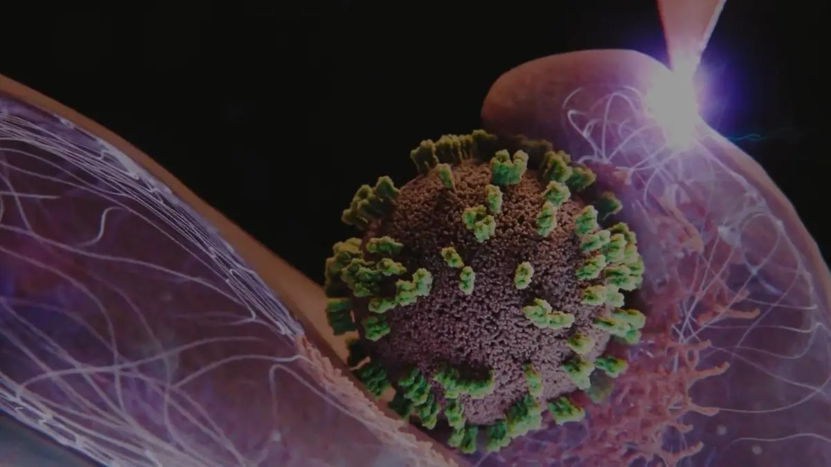 So dringen Grippeviren in uns ein – DIESE Erkenntnis überrascht! Erstmals live beobachtet