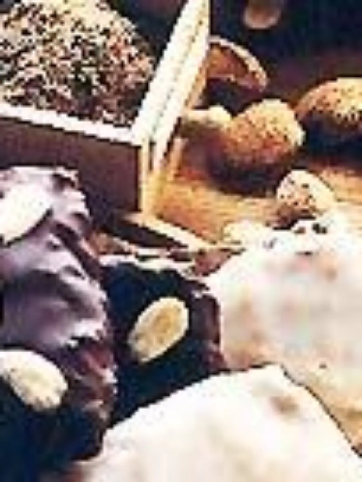 dp 041129 lebkuchen 2 i