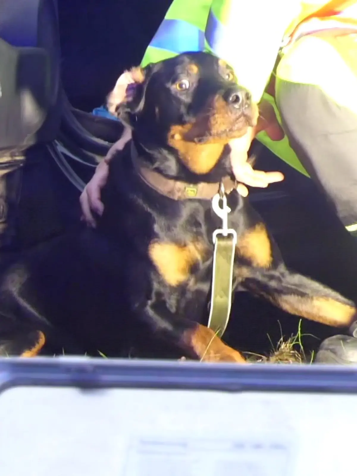 Bild zu: "Sechs Verletzte, darunter ein Hund! Unfall auf der B205"