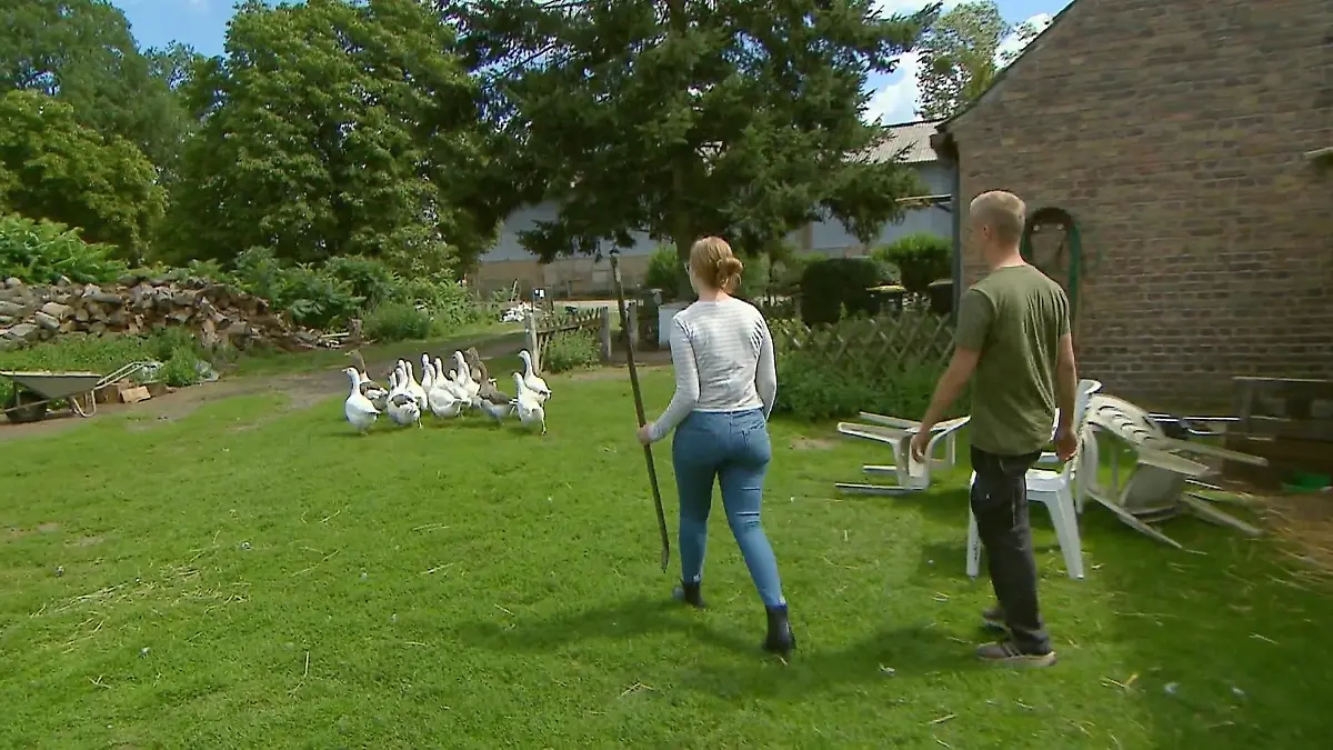 Christopher und Pauline treiben die Gänse Tierischer Spaziergang