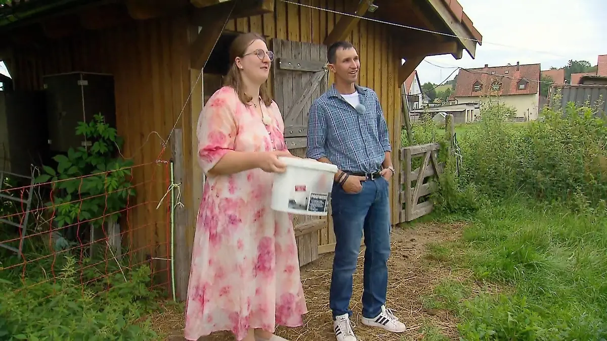 Julia lernt Michaels 30 Schafe kennen Tierische Begegnung