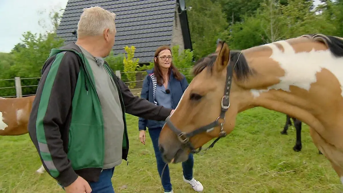 Jörg zeigt Kirstin seinen Hof Hühner & Pferde